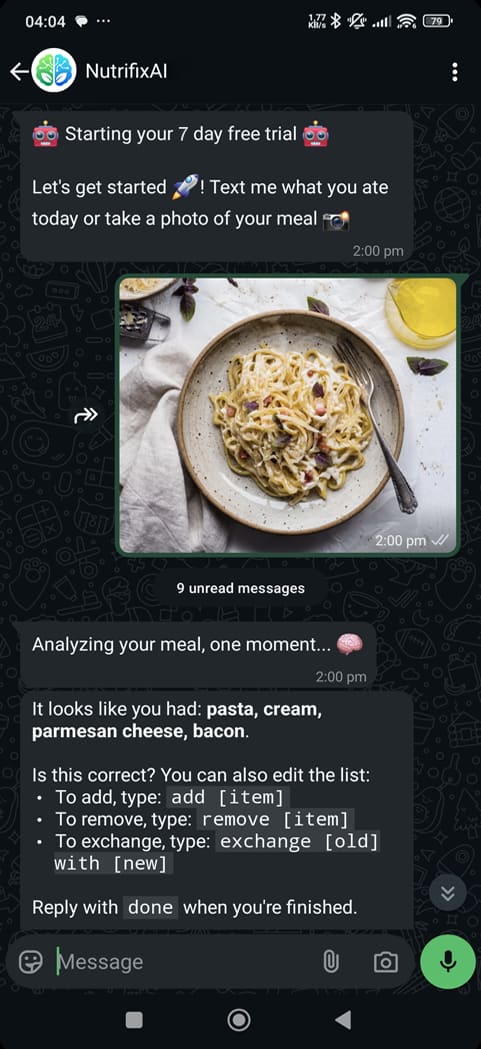 WhatsApp conversation mockup